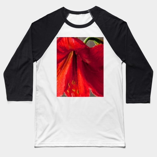 Vibrant red amaryllis Baseball T-Shirt by fparisi753